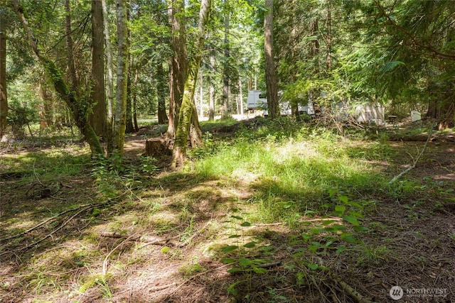 202 Hilltop Way, Lopez Island, WA 98261 - photo 6