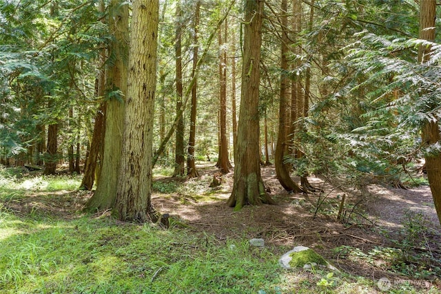 202 Hilltop Way, Lopez Island, WA 98261 - photo 7