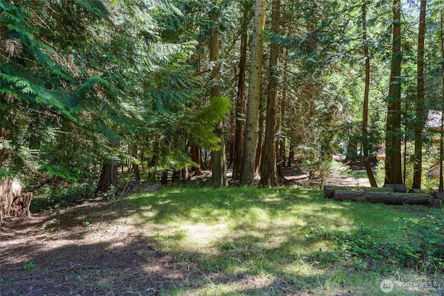 202 Hilltop Way, Lopez Island, WA 98261 - photo 8