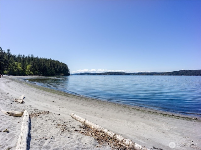 202 Hilltop Way, Lopez Island, WA 98261 - photo 9