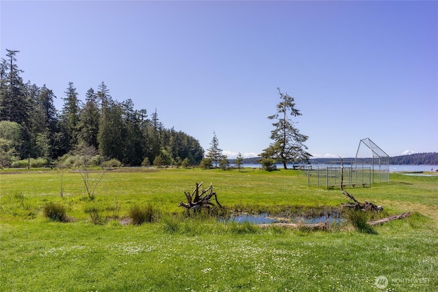 202 Hilltop Way, Lopez Island, WA 98261 - photo 10
