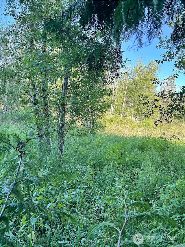 0 Basie Rd, Castle Rock, WA 98611