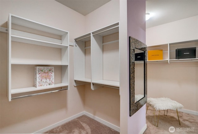 5708 197th Pl SE, Bothell, WA 98012 - spacious closet with carpet