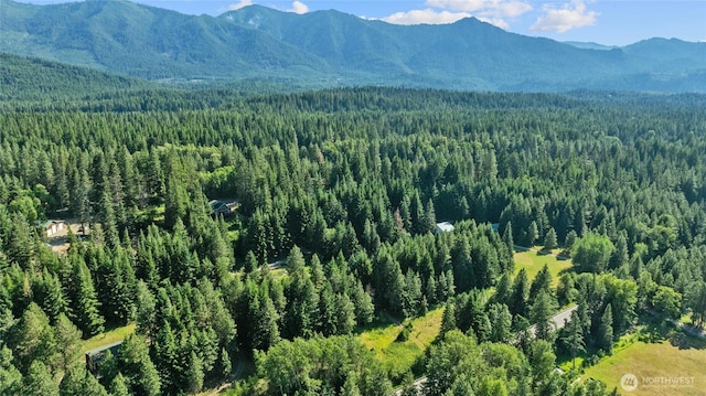0LOT5 Nelson Siding Rd, Cle Elum, WA 98922