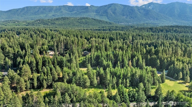 0LOT5 Nelson Siding Rd, Cle Elum, WA 98922