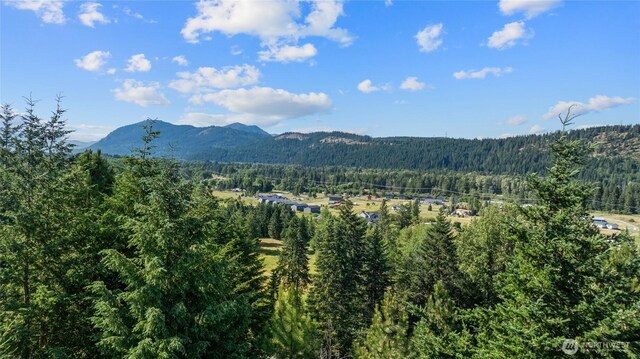 0LOT5 Nelson Siding Rd, Cle Elum, WA 98922