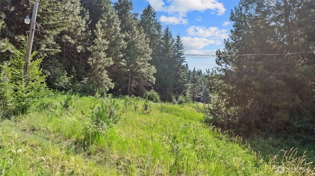 0LOT5 Nelson Siding Rd, Cle Elum, WA 98922