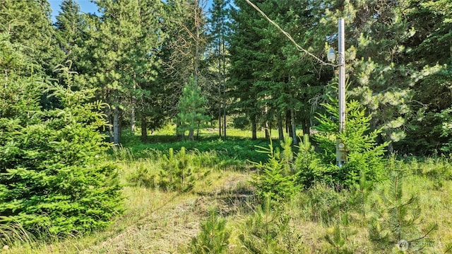 0LOT5 Nelson Siding Rd, Cle Elum, WA 98922
