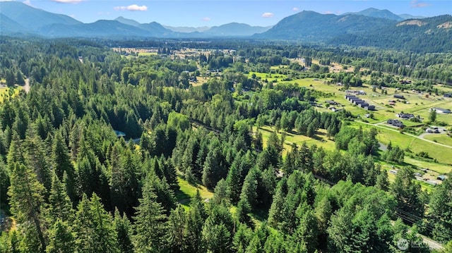 0LOT5 Nelson Siding Rd, Cle Elum, WA 98922