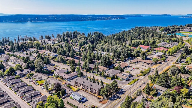 4803 84th St SW, Mukilteo, WA 98275 - bird's eye view of a large body of water