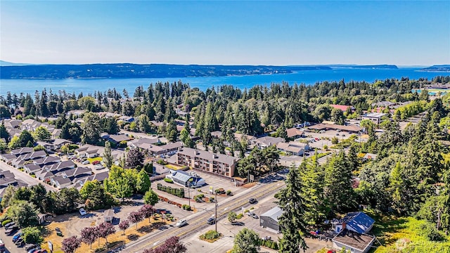 4803 84th St SW, Mukilteo, WA 98275 - bird's eye view of a large body of water