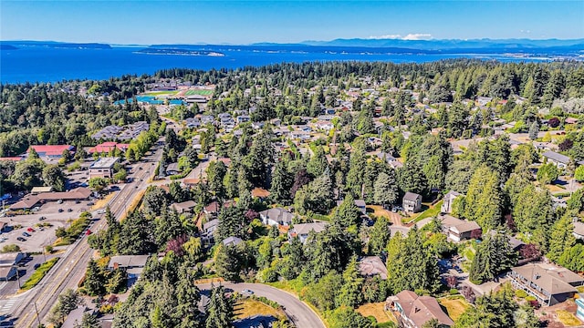 4803 84th St SW, Mukilteo, WA 98275 - aerial view of a forest and a large body of water
