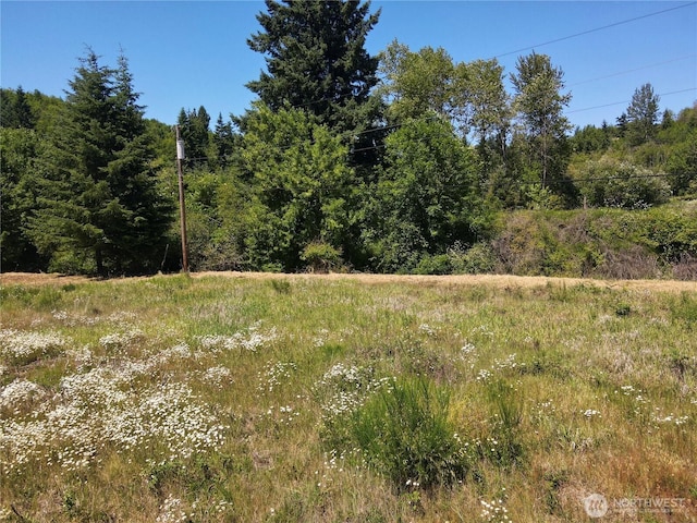 127 Sawall Unit A, Centralia, WA 98531