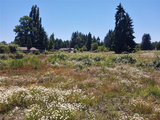 127 Sawall Unit A, Centralia, WA 98531