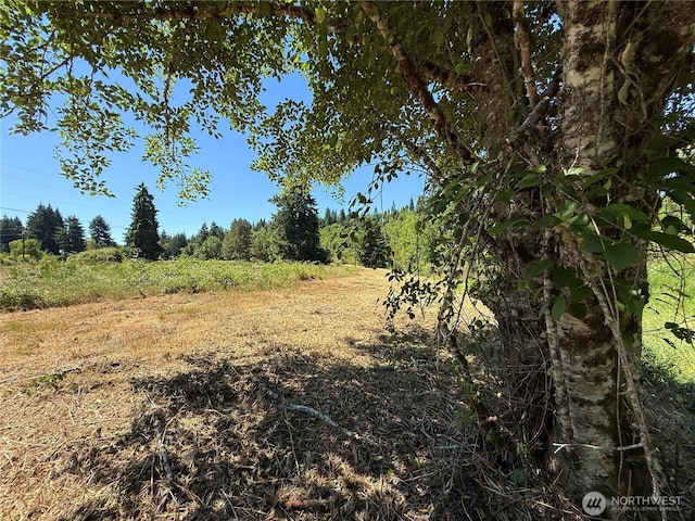127 Sawall Unit A, Centralia, WA 98531