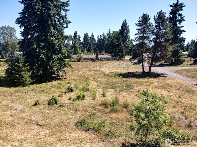 127 Sawall Unit D, Centralia, WA 98531