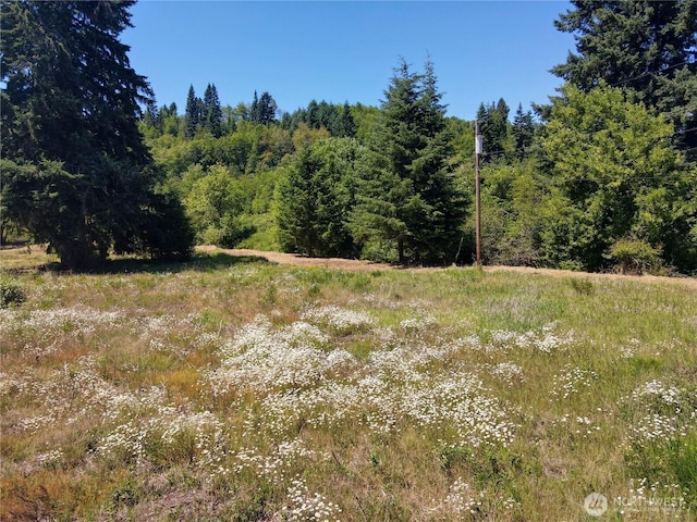 127 Sawall Unit D, Centralia, WA 98531