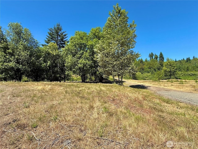 127 Sawall Unit F, Centralia, WA 98531