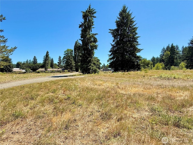 127 Sawall Unit F, Centralia, WA 98531