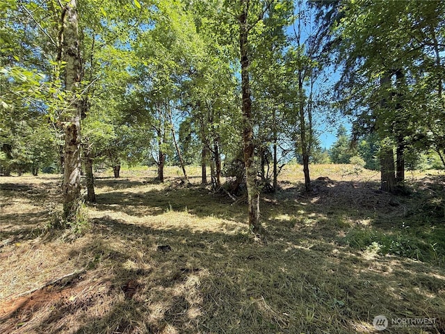 127 Sawall Unit G, Centralia, WA 98531