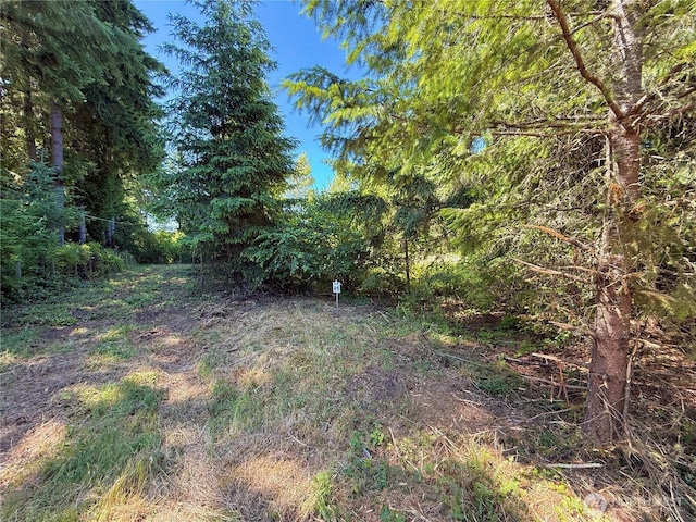 127 Sawall Unit H, Centralia, WA 98531