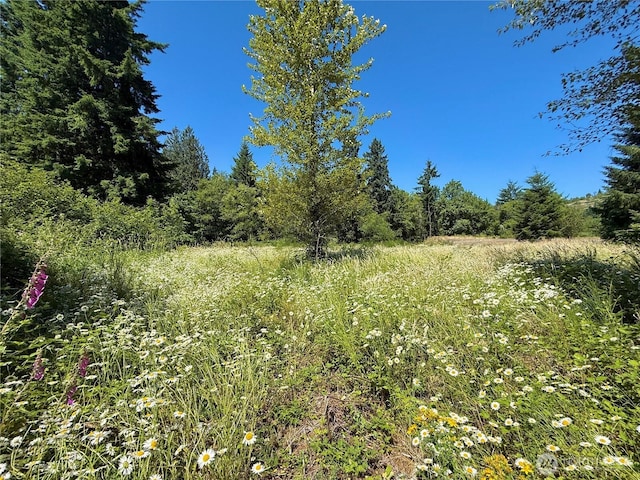 127 Sawall Unit H, Centralia, WA 98531