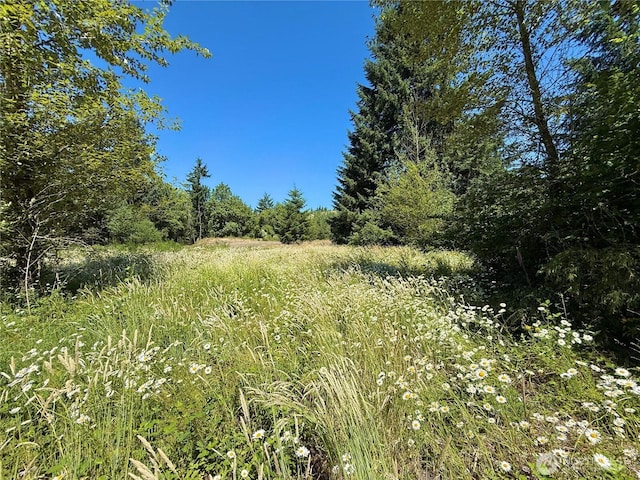 127 Sawall Unit H, Centralia, WA 98531