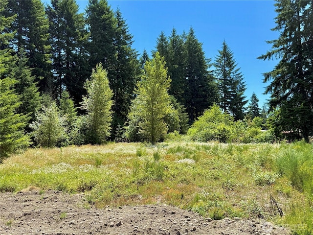 127 Sawall Unit H, Centralia, WA 98531