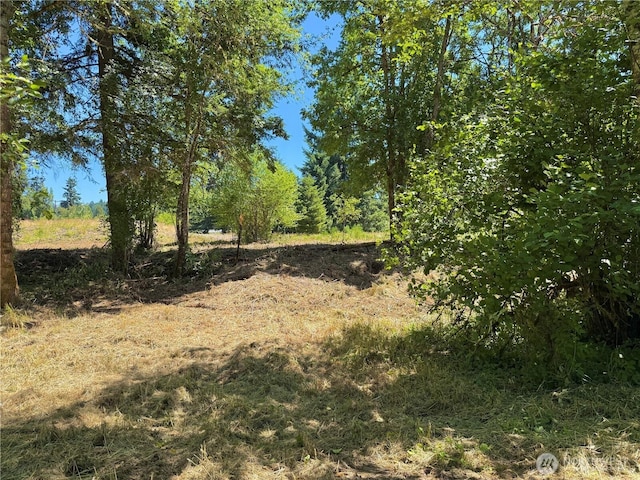 127 Sawall Unit H, Centralia, WA 98531