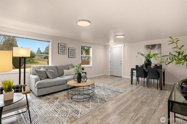 18006 116th Ave SE, Renton, WA 98058 - living area featuring light wood-type flooring and baseboards