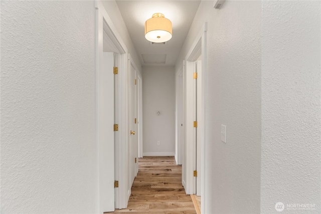1604 W Market St, Aberdeen, WA 98520 - hallway with light wood finished floors and a textured wall