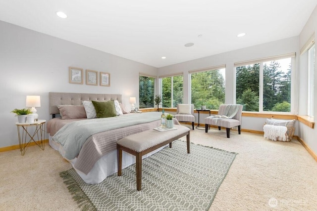 16426 Cedar Falls Rd SE, North Bend, WA 98045 - photo 16