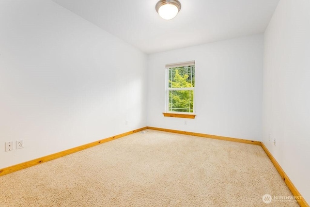 16426 Cedar Falls Rd SE, North Bend, WA 98045 - photo 25