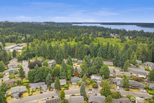 31609 41st Ave SW, Federal Way, WA 98023 - aerial overview of property's location featuring nearby suburban area and a large body of water