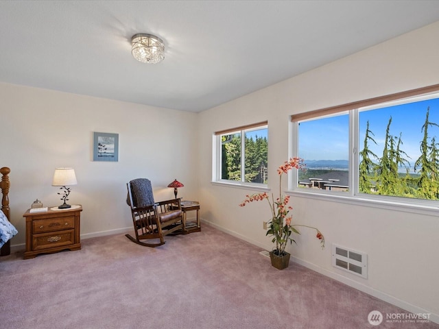 230 Rocky Mountain High Rd, Camano Island, WA 98282 - photo 25