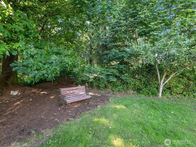 230 Rocky Mountain High Rd, Camano Island, WA 98282 - photo 18