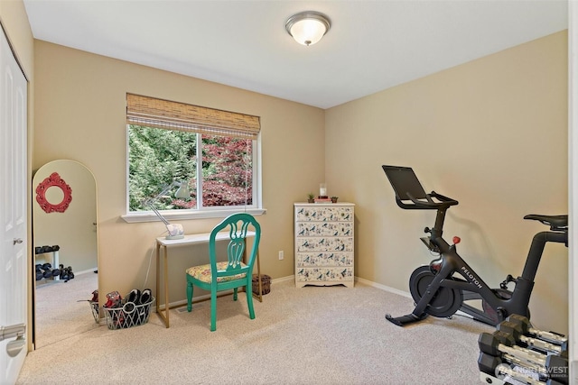 10427 205th Dr SE, Snohomish, WA 98290 - photo 26
