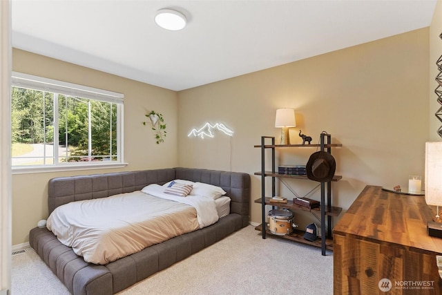 10427 205th Dr SE, Snohomish, WA 98290 - photo 25