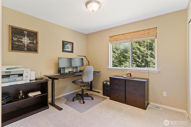 10427 205th Dr SE, Snohomish, WA 98290 - photo 27