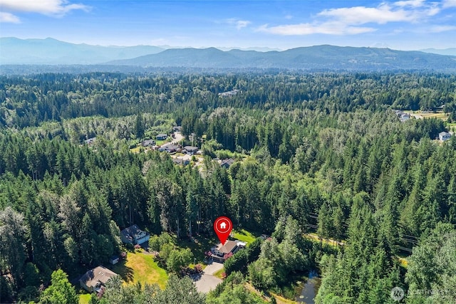 10427 205th Dr SE, Snohomish, WA 98290 - photo 40