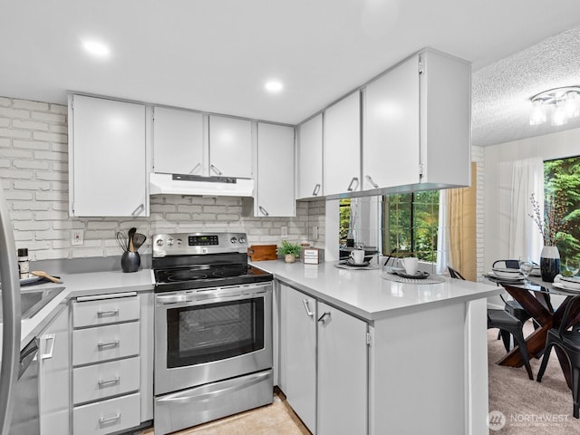 4920 200th St SW Unit A201, Lynnwood, WA 98036 - kitchen featuring stainless steel appliances, light countertops, white cabinets, a peninsula, and under cabinet range hood