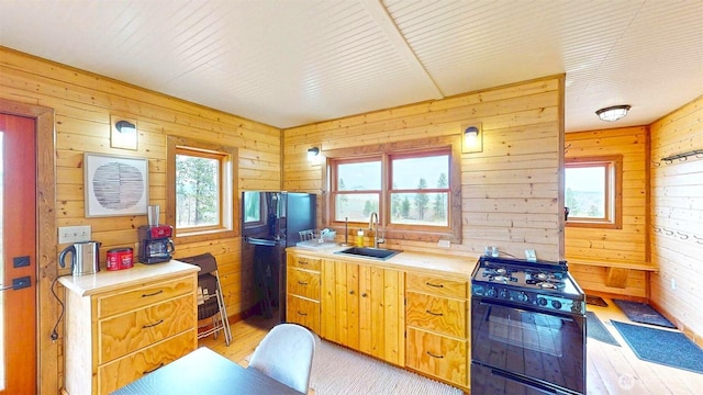 156 Poechmann Rd, Okanogan, WA 98840 - kitchen with black appliances, light wood-style flooring, wood walls, and healthy amount of natural light