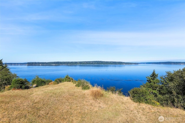10806 W Morris Blvd, Steilacoom, WA 98388 - water view