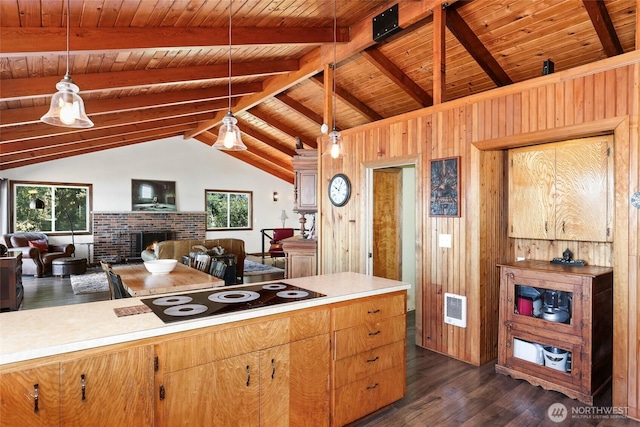 10806 W Morris Blvd, Steilacoom, WA 98388 - kitchen with plenty of natural light, dark wood finished floors, wood ceiling, wood walls, and black electric stovetop