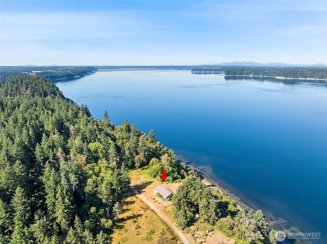 10806 W Morris Blvd, Steilacoom, WA 98388 - aerial view of a water and mountain view