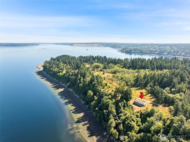 10806 W Morris Blvd, Steilacoom, WA 98388 - aerial view of a nearby body of water and a heavily wooded area