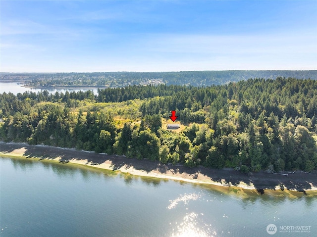 10806 W Morris Blvd, Steilacoom, WA 98388 - bird's eye view of a heavily wooded area and a large body of water