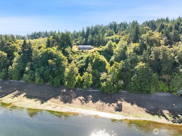 10806 W Morris Blvd, Steilacoom, WA 98388 - view of property location with a nearby body of water and a heavily wooded area