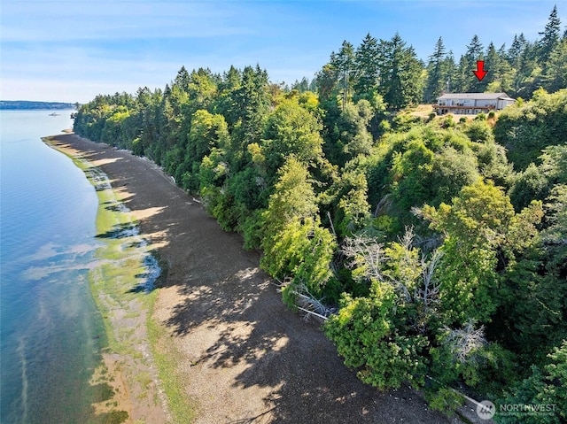 10806 W Morris Blvd, Steilacoom, WA 98388 - aerial view of a large body of water and a forest
