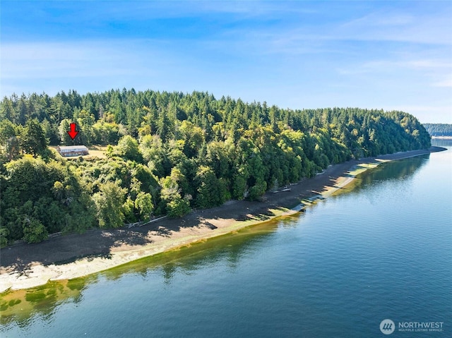 10806 W Morris Blvd, Steilacoom, WA 98388 - drone / aerial view of a heavily wooded area and a large body of water